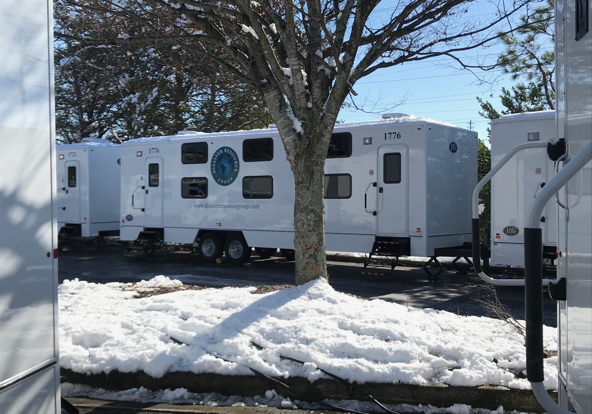 2017 COBB sleeper tree 1 IMG_2058